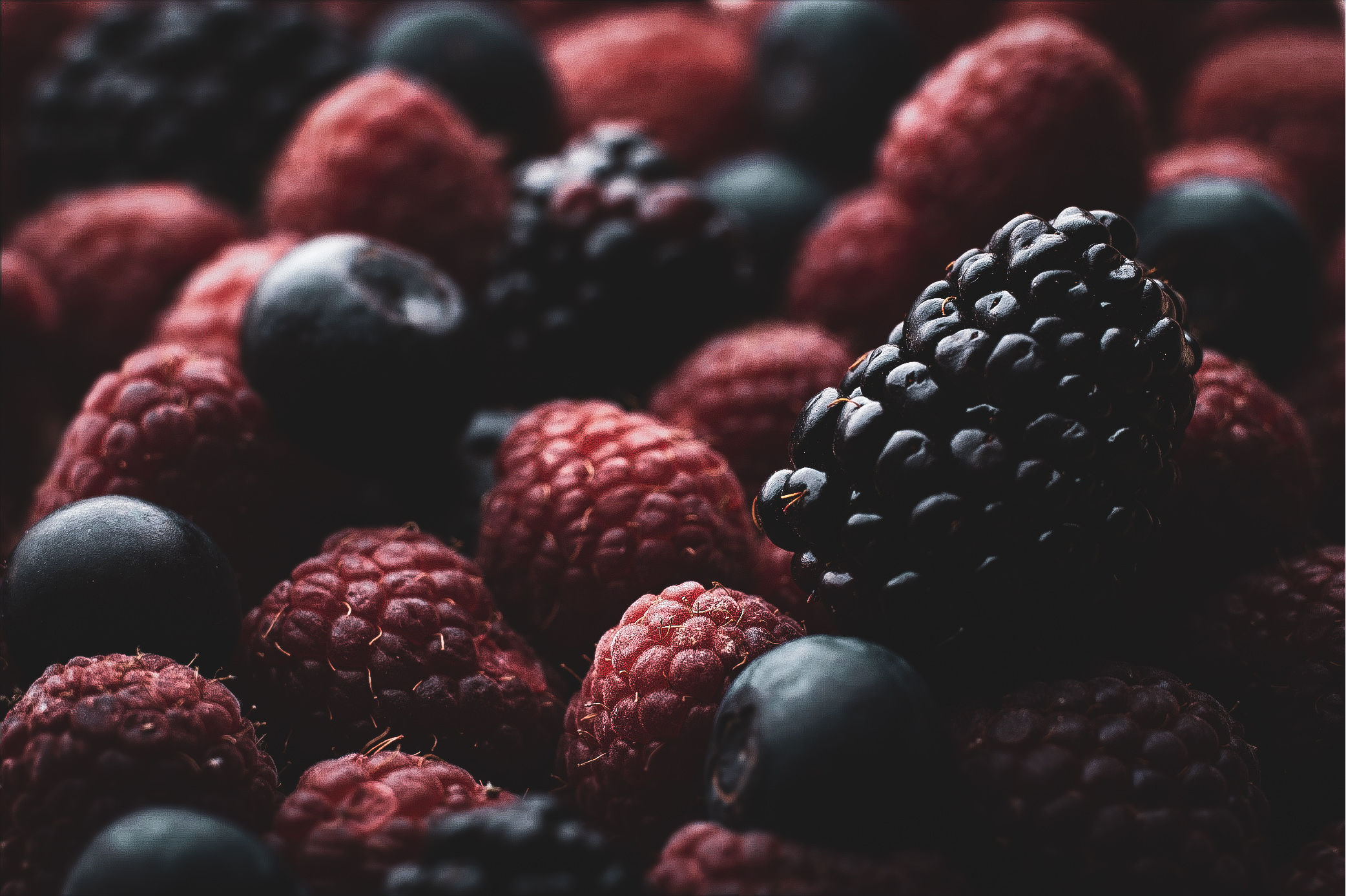 Close-up of mixed raspberries, blueberries and a blackberry